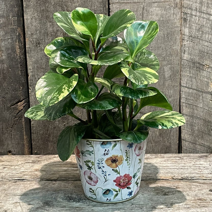 Jardinière en métal avec fleurs