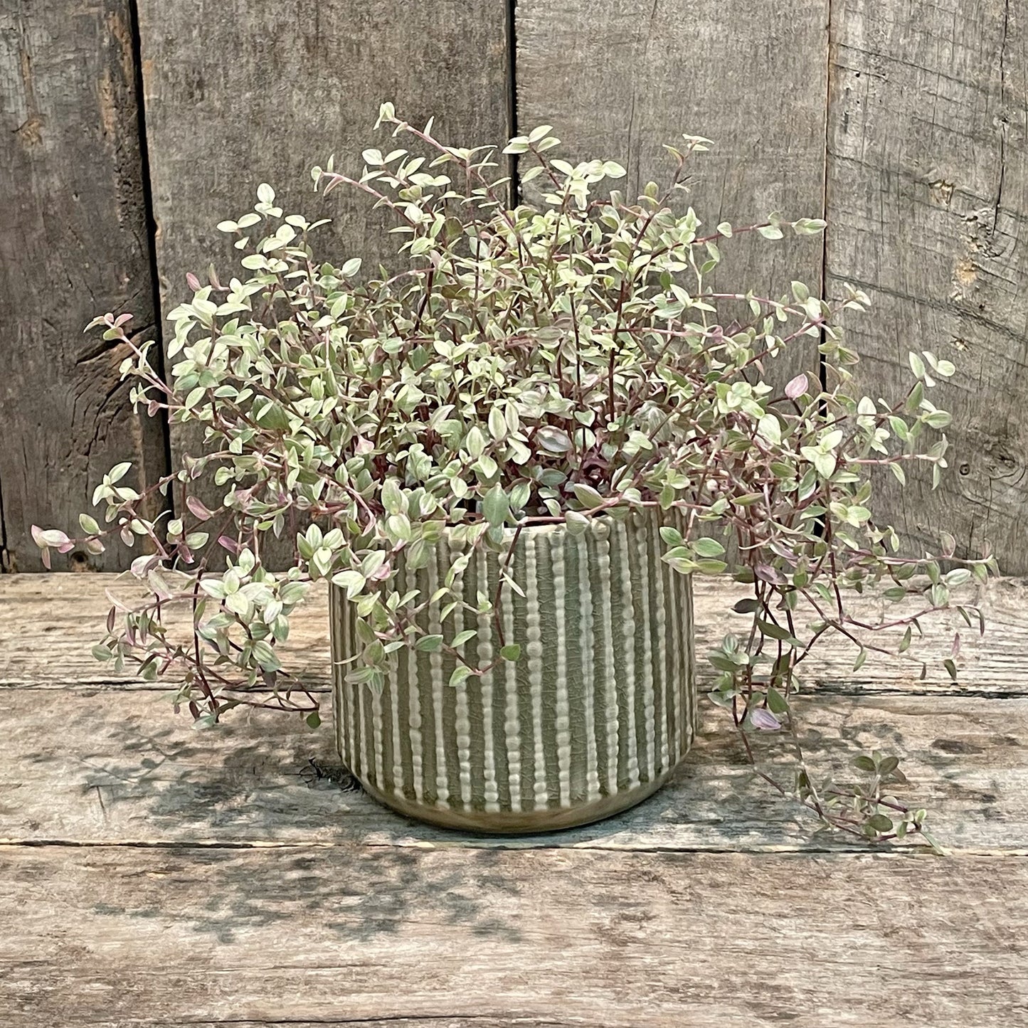 Jardinière en céramique Cognac