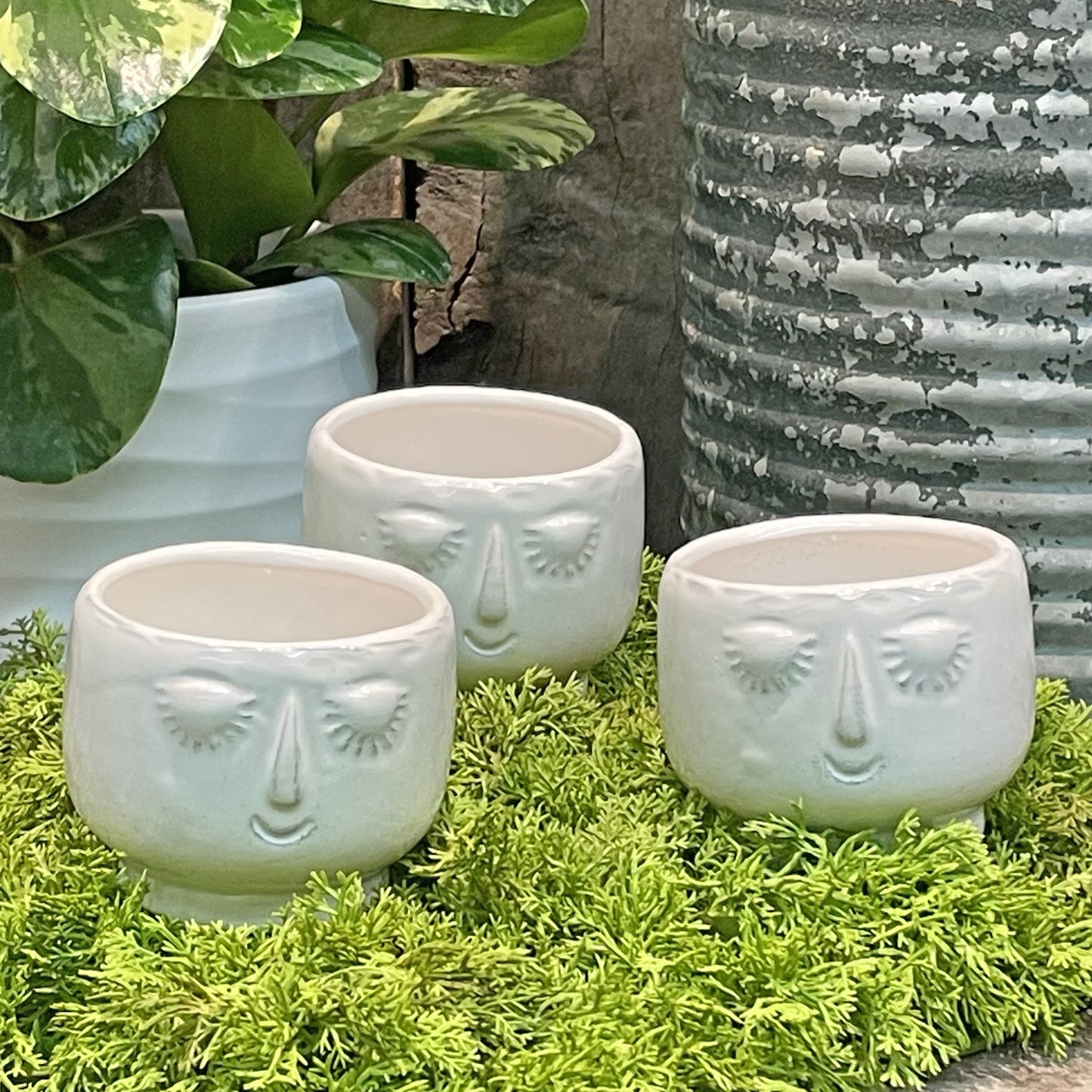 Set of Three - Dreamy Small Planter in White