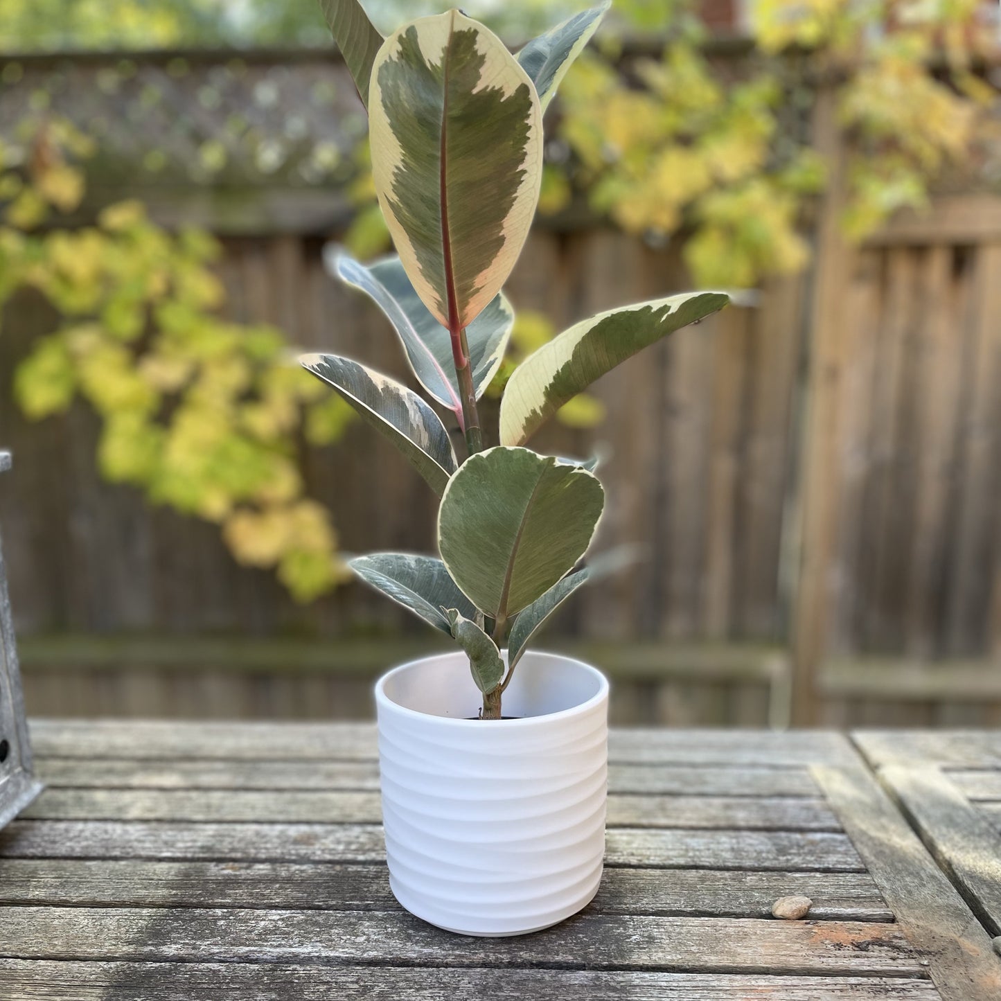 Jardinière Basic Blanche